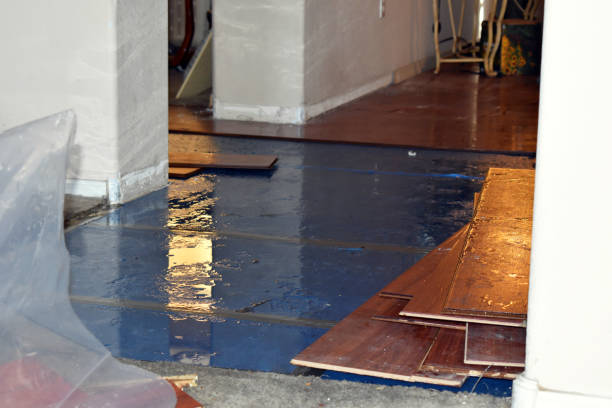 Professional Flood Cleanup technician working in Marine, IL
